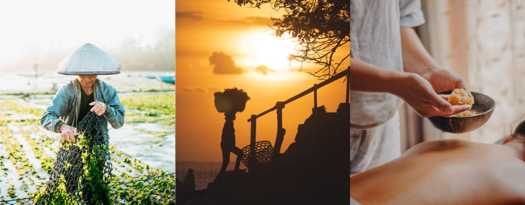 Seaweed Farming Lembongan